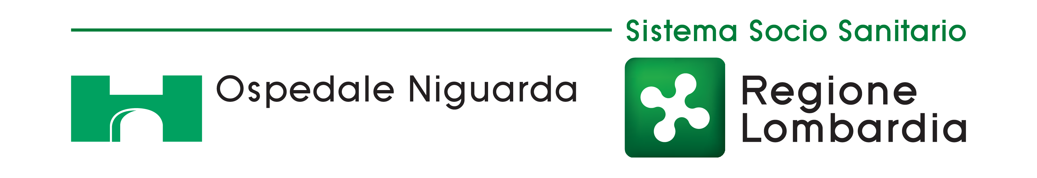 Logo ASST Grande Ospedale Metropolitano Niguarda